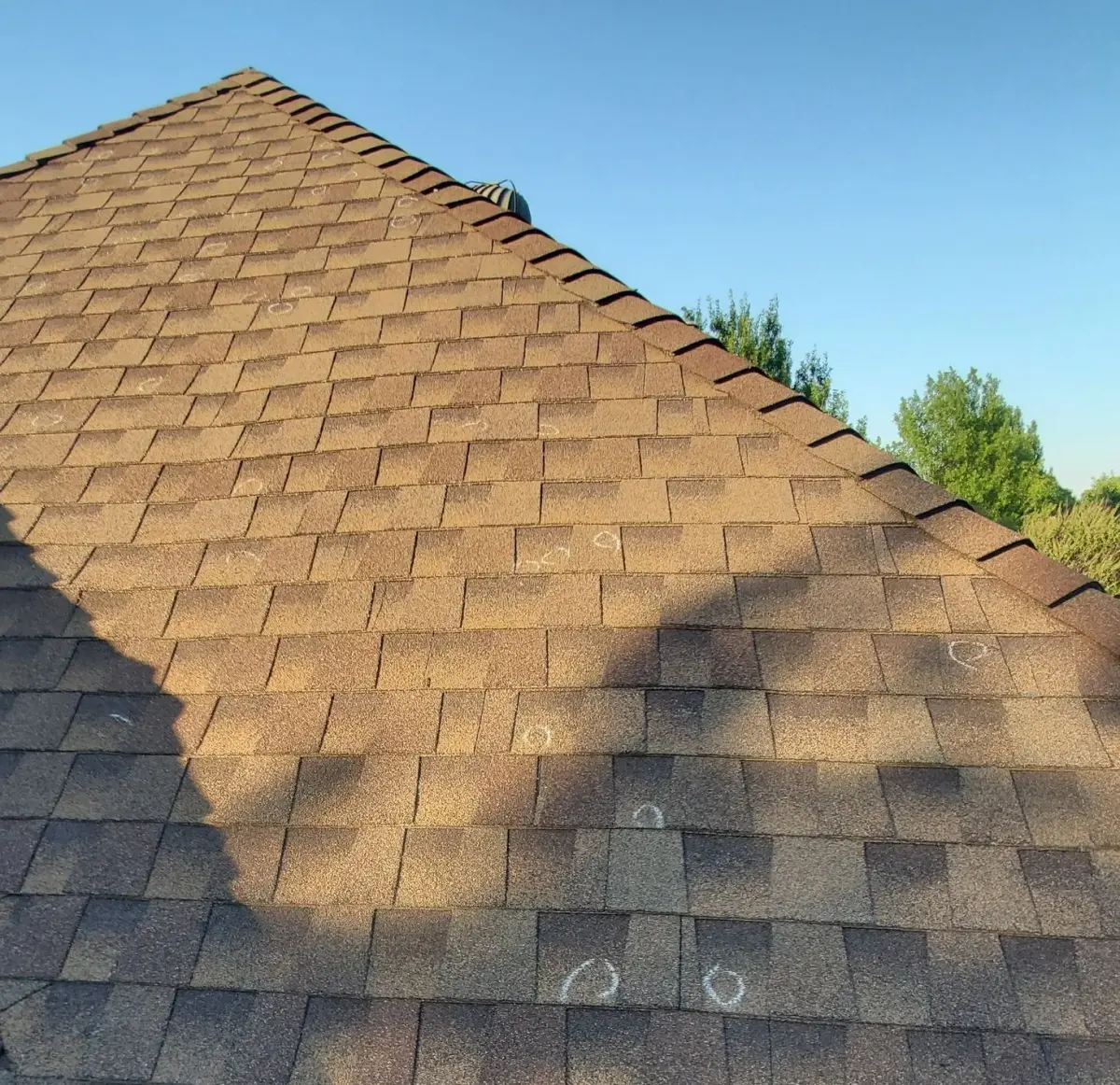 Close-up of storm-damaged asphalt shingles